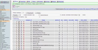 Lost the category in the admin opencart