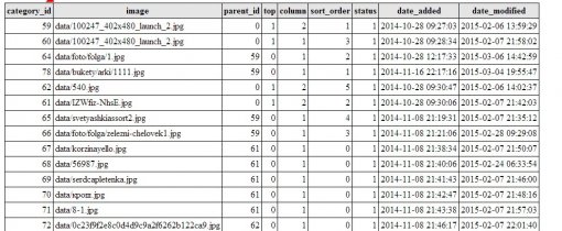 Lost the category in the admin opencart